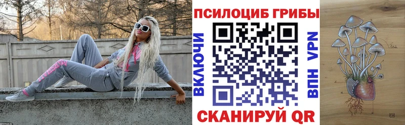 Псилоцибиновые грибы Psilocybe  Невьянск 